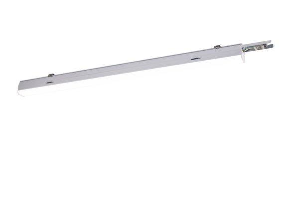 CRIUS DALI Dimbaar Armatuur 112° 45-60W 5000K