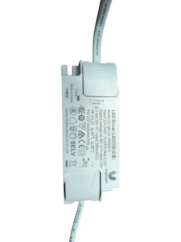 Downlight 12W 4000k IP41 inclusief driver