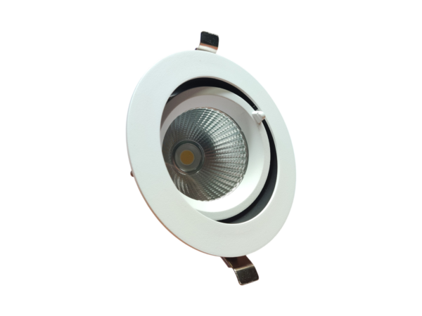 kantelbare downlight 30W 4000K inclusief philips driver