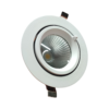 kantelbare downlight 30W 4000K inclusief philips driver