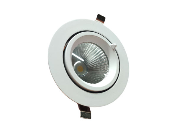 kantelbare downlight 30W 4000K inclusief philips driver