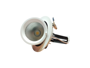 kantelbare downlight 30W 4000K inclusief philips driver