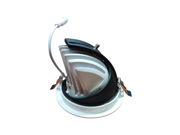 kantelbare downlight 30W 4000K inclusief philips driver