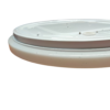 Plafonniere 24W CCT 3000-4000-6500k 2600lm Ster effect